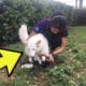 Woman Rescues Dog From Cage In Woods, Then Notices Its Legs