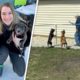 Woman's goofy dog is hopelessly obsessed with her elderly neighbor