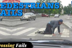 Zebra Crossing Fails | Fails of The Week | In English In Urdu | Lovewalisarkar