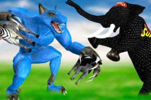 Zombie Wolf VS Woolly Mammoth Animal Fight | Zombie Mammoth Save Cartoon Cow From Zombie Wolf
