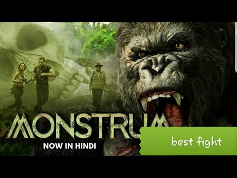 best animal fights##