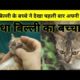 blind kitten 🐈 saw his mother for the first time || blind kitten || #catrescue #humanity #shorts