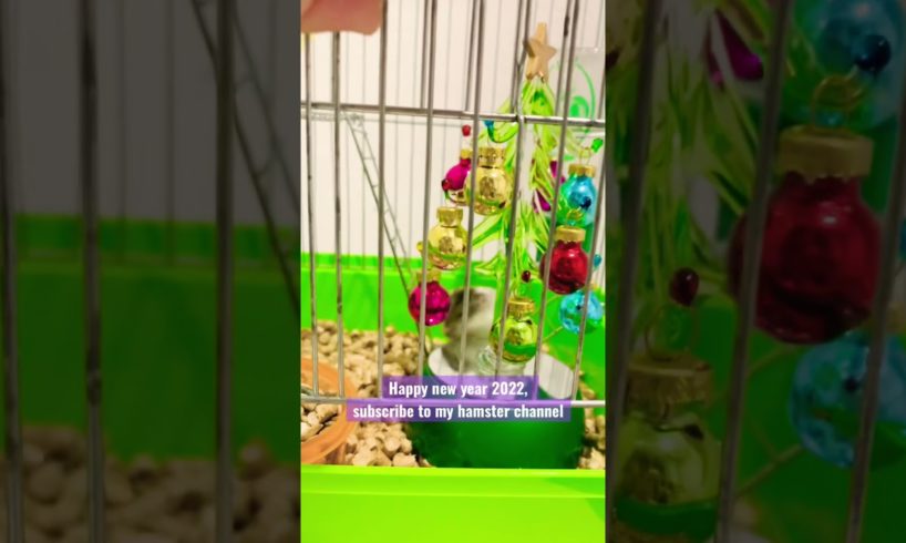 hamster house. Happy New Year greetings. Christmas tree