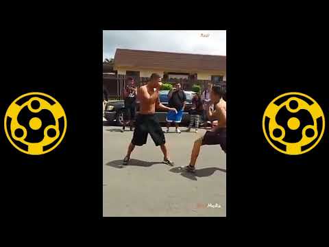 street fight compilation 2022
