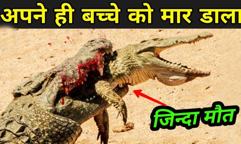 ऐसी लड़ाई जो कभी किसी ने नहीं देखी | Craziest Wild Animal Fights | fact mantra