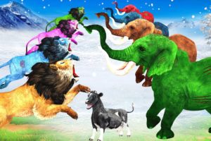 10 Zombie Elephants vs 5 Zombie Lions Fight Cow Cartoon Rescue Saved By Woolly Mammoth Animal Fights