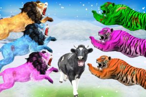 10 Zombie Lions vs Giant Tiger Fight Cow Rescue Woolly Mammoth Animal Epic Battle Wild Animal Fights