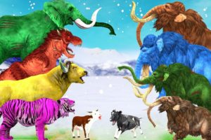 10 Zombie Mammoths vs Cow Cartoon Fight Cow Saved By Woolly Mammoth Elephant Animal Fights Videos