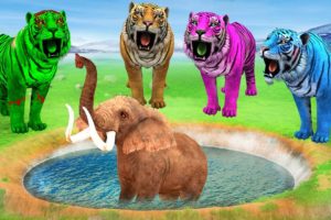 10 Zombie Tigers vs Baby Elephant Resuce Saved By Woolly Mammoth Elephant Wild Animal Fights Video