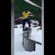 People are awesome | Respect video 🔥 | Like a boss | Trending video| Viral memes | Amazing video