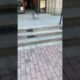 Cute Puppies Doing Funny Things, Cutest Puppies in Tiktok 2022 #Short2953