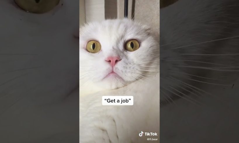 Ultimate Cutest PUPPIES & Happiest Pet of TikTok Compilation 2022