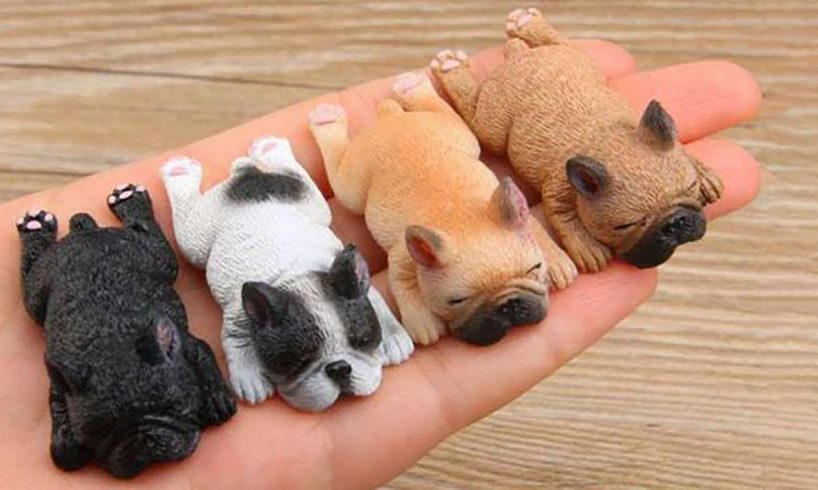 Baby Dogs - Cute and Funny Puppy Compilation - Cutest Puppy Videos 2021
