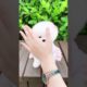 Funny Dogs of TikTok Compilation ~ Cutest Puppies