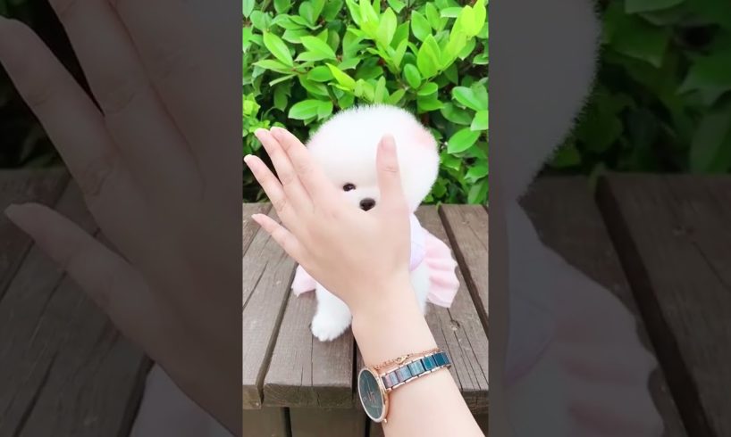 Funny Dogs of TikTok Compilation ~ Cutest Puppies