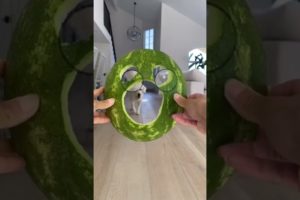 Funny Dogs of TikTok Compilation π₯° Cutest Puppies π₯Ίπ₯°