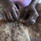 Removing Monster Mango worms From Helpless Dog ! Animal Rescue Video 2022 #14