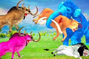 2 Zombie Bulls Vs Mammoth Elephant Fight | Woolly Mammoth Attack Cow Cartoon Saved by Giant Bulls