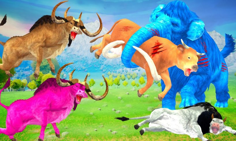 2 Zombie Bulls Vs Mammoth Elephant Fight | Woolly Mammoth Attack Cow Cartoon Saved by Giant Bulls