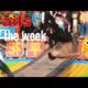 2022 is Gonna Hurt! - Fails of the Week  🤣 🤣|#2022funnyvideo  |#enjoyeverymoment