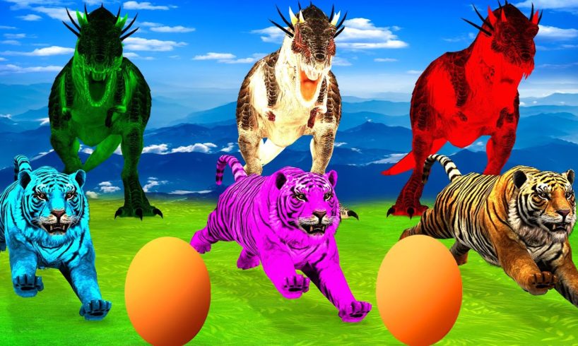 3 Zombie Dinosaurs Vs Tigers Fight Wild Animals Saved By Woolly Mammoth Animal Fights