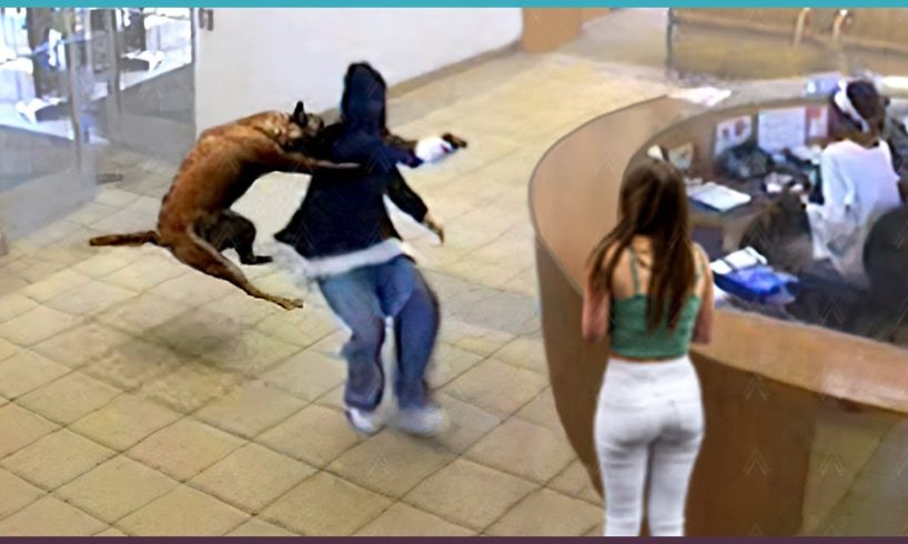 35 Hero Animals that Saved Human Lives !