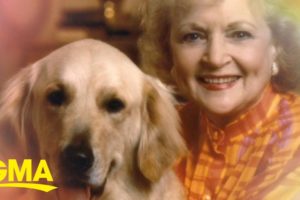 'GMA,' animal shelters honor Betty White with #BettyWhiteChallenge