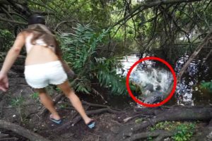 5 Crocodile Encounters You Probably Shouldn't Watch