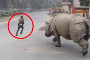 6 Rhino Encounters Way Too Scary For You