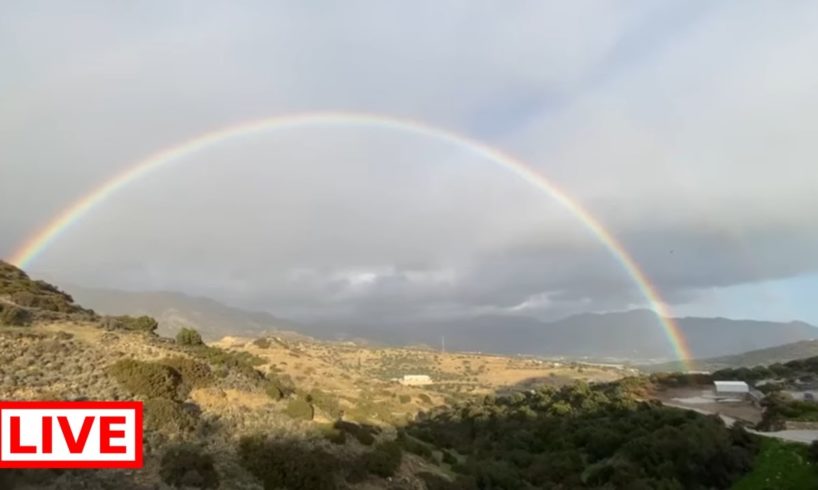 A beautiful rainbow 🌈 and the coldest day of the winter today in the shelter - Takis Shelter