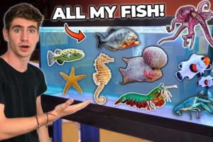 ALL MY FISH & RARE EXOTIC ANIMALS!!! (room tour)