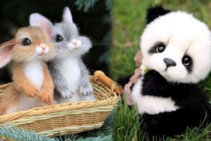 AWW Animals SOO Cute! OMG Cute baby animals Videos Compilation Cutest moment of the animals #12