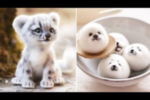 AWW SO CUTE! Cutest baby animals Videos Compilation Cute moment of the Animals 2022 #1