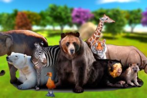 Animals Fights Elephant,Gorilla,Tiger,Buffaloes Wild Animal Fights video-Epic Battle-ImranTheHulk