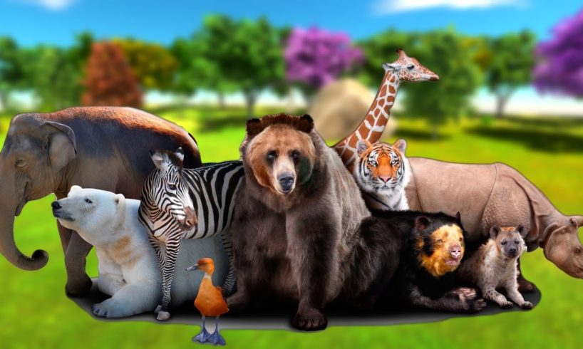 Animals Fights Elephant,Gorilla,Tiger,Buffaloes Wild Animal Fights video-Epic Battle-ImranTheHulk