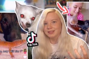 Awful Tiktok Dog Owners (Tasermalinoisdog and Madi)