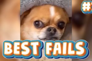 BEST FAILS OF THE WEEK COMPILATION 2022 🤣🤣🤣