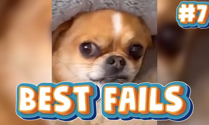 BEST FAILS OF THE WEEK COMPILATION 2022 🤣🤣🤣
