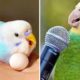 Baby Animals 🔴 Funny Parrots and Cute Birds Compilation (2021) Loros Adorables Recopilación #48