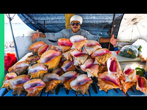 Bahamas ALIEN Seafood Boss!!! Why Do They LoVe This?!
