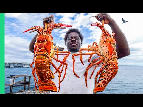 Bahamas MEGA-SIZED Lobster!! Carribean's Eye-Popping Seafood!!