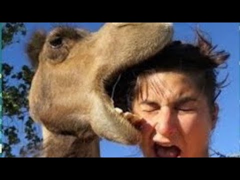 Best Fails of The Week: Funniest Fails Compilation: Funny Video