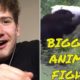 Biggest Animal Fights REACTION [10 CRAZIEST ANIMAL FIGHTS CAUGHT ON CAMERA]