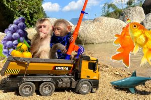 Bim Bim helps dad go fishing with baby monkey Obi