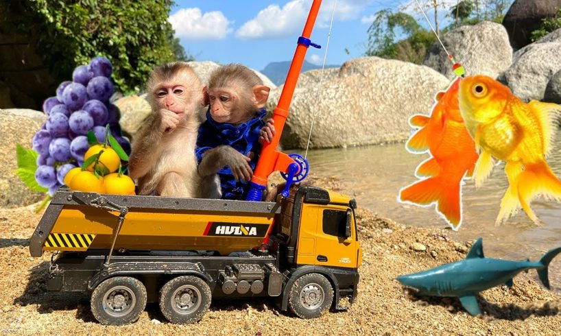 Bim Bim helps dad go fishing with baby monkey Obi