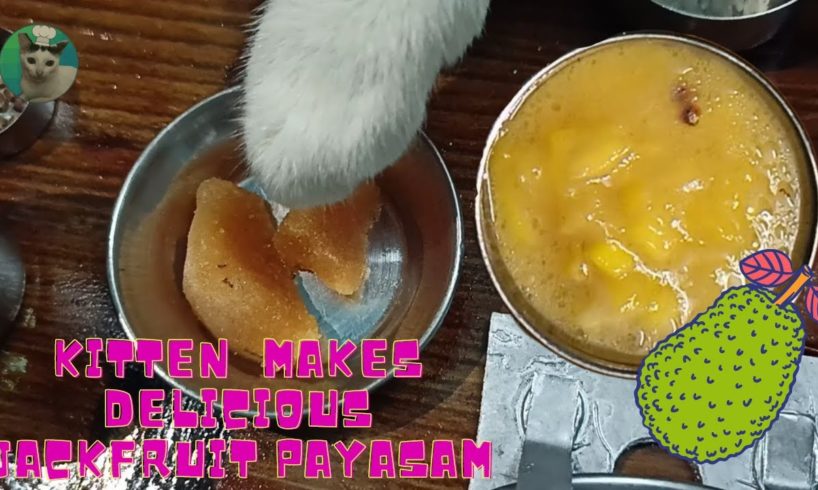 🤤🤤Cat Cooks Jackfruit Payasam | Delicious Chakka payasam #southindianrecipe #recipe #streetfoodindia