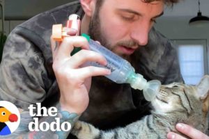 Cat With Asthma Has The Most Caring Dad | The Dodo