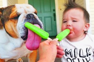Cute Babies And Dog Playing Together || Funny Animals City