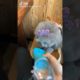 Cute Puppies Doing Funny Things, Cutest Puppies in Tiktok 2022 #Short2991