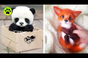 Cute baby animals Videos Compilation cutest moment of the animals   Cutest Puppies #9